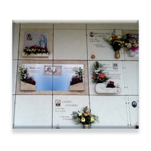 Load image into Gallery viewer, Niche Panels
